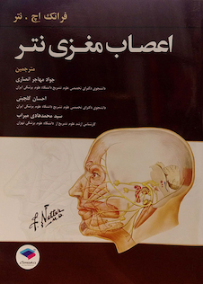 عکس اعصاب مغزی نتر